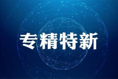 专精特新中小企业，企业如何合理布局？